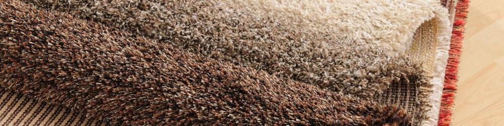 Moquette près de Montignac